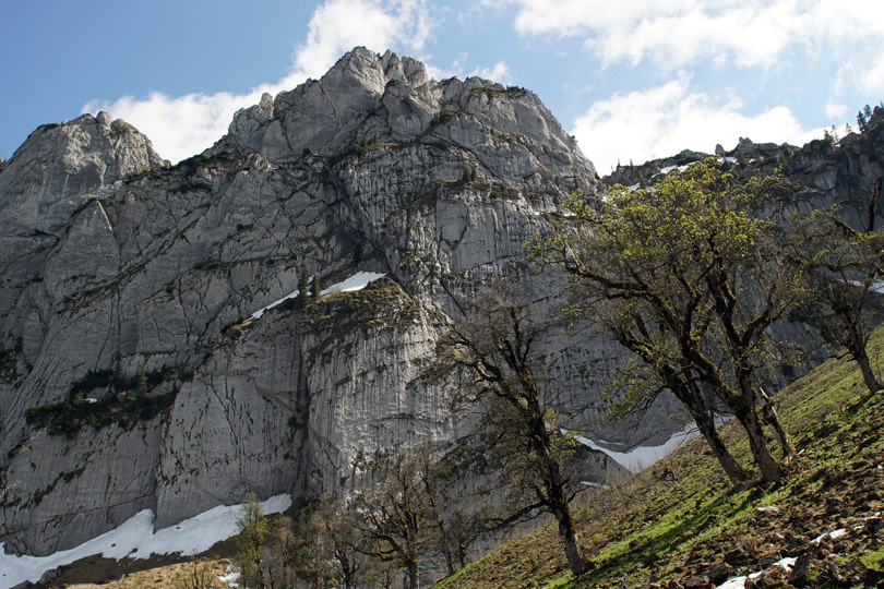 Plankenstein Nordwand